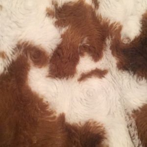 Meet your Posher, Kristin